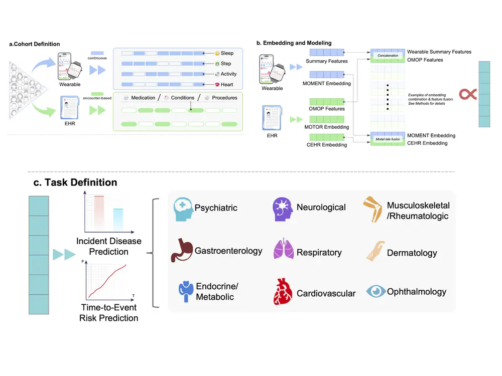 Beyond the Clinic: A Large-Scale Evaluation of Augmenting EHR with Wearable Data for Diverse Health Prediction